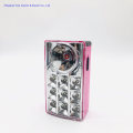 LED Mini Walking Light Handy Lamp